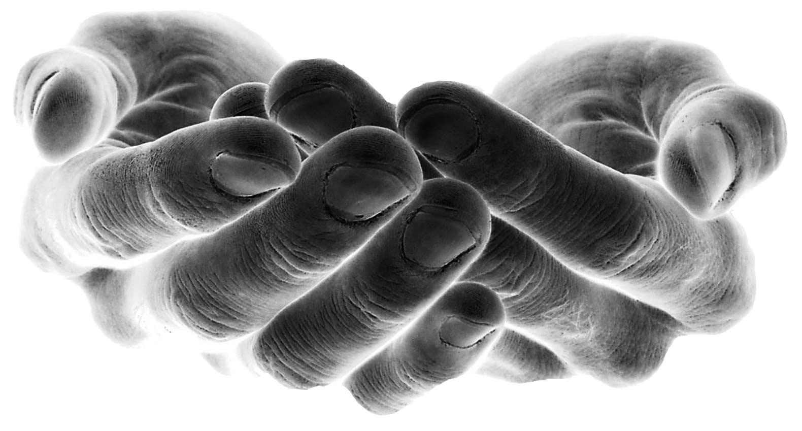 Hands